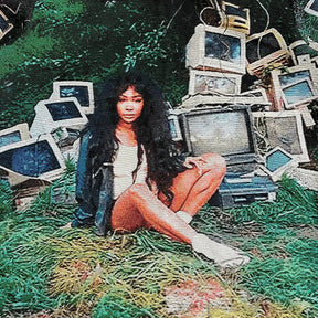 RDMCLOTHINGART tapestry hoodie SZA V2 TAPESTRY HOODIE